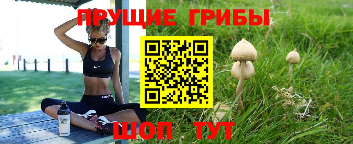 Галлюциногенные грибы MAGIC MUSHROOMS Кушва