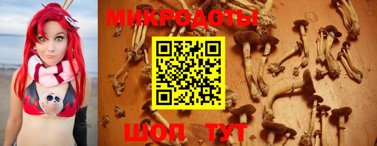 Галлюциногенные грибы ЛСД  Вход с VPN  Псилоцибиновые грибы Magic Shrooms  Кушва 